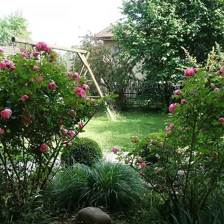 - - Heuboden Daire Emmering (Ebersberg)